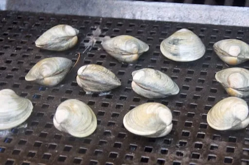 Quick Note: Vongole alla brace (Grilled Clams)