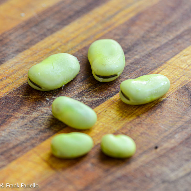 fava beans